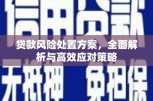 瑞穗贷款风险处置方案，全面解析与高效应对策略