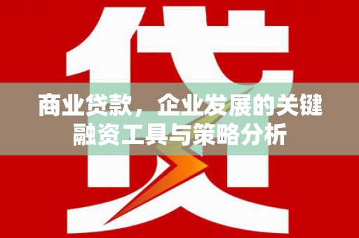 瑞穗商业贷款，企业发展的关键融资工具与策略分析
