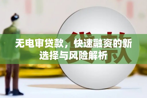 瑞穗无电审贷款，快速融资的新选择与风险解析