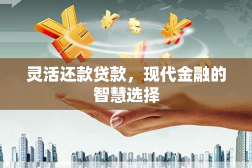 瑞穗灵活还款贷款，现代金融的智慧选择