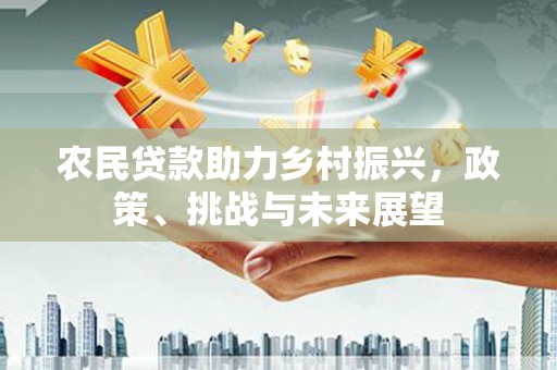瑞穗农民贷款助力乡村振兴，政策、挑战与未来展望