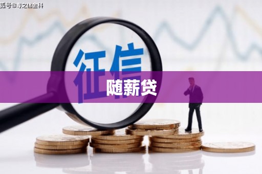 瑞穗随薪贷