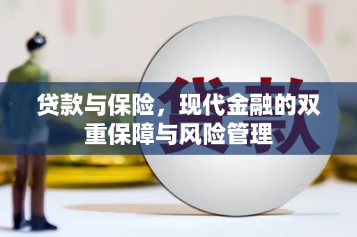 瑞穗贷款与保险，现代金融的双重保障与风险管理