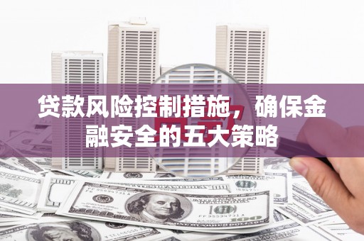 瑞穗贷款风险控制措施，确保金融安全的五大策略