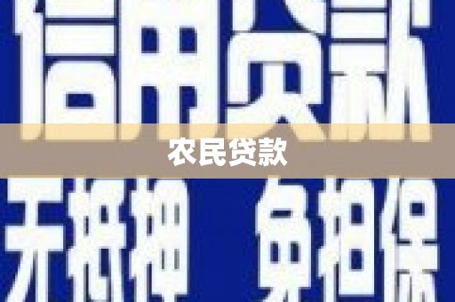 瑞穗农民贷款