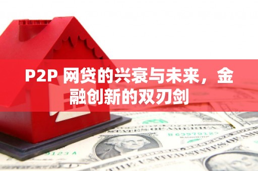 瑞穗P2P 网贷的兴衰与未来，金融创新的双刃剑