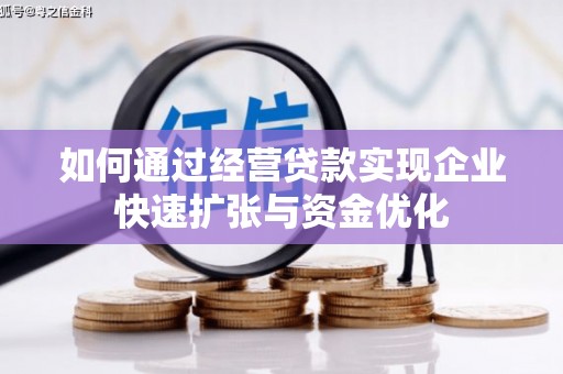 瑞穗如何通过经营贷款实现企业快速扩张与资金优化