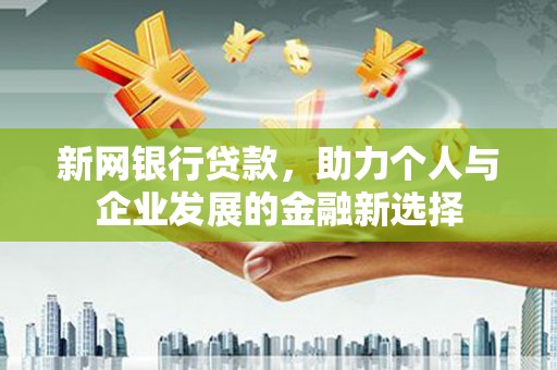 瑞穗新网银行贷款，助力个人与企业发展的金融新选择