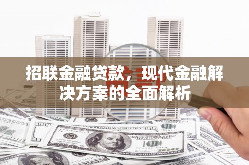 瑞穗招联金融贷款，现代金融解决方案的全面解析