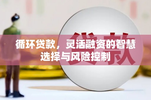 瑞穗循环贷款，灵活融资的智慧选择与风险控制