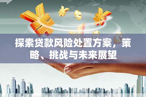 瑞穗探索贷款风险处置方案，策略、挑战与未来展望