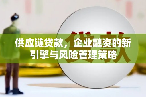 瑞穗供应链贷款，企业融资的新引擎与风险管理策略