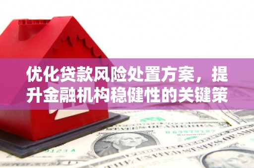 瑞穗优化贷款风险处置方案，提升金融机构稳健性的关键策略