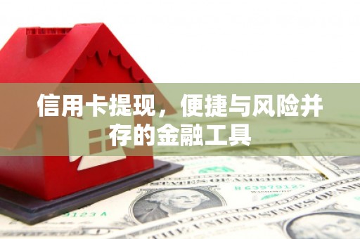 瑞穗信用卡提现，便捷与风险并存的金融工具