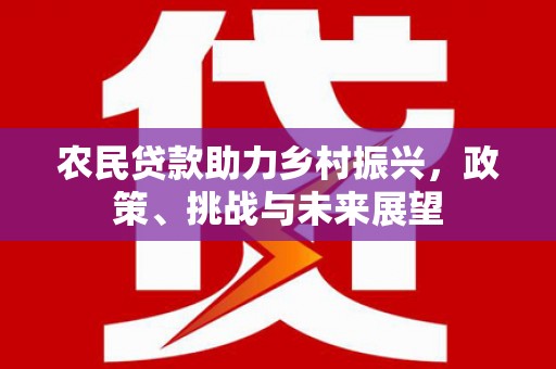 瑞穗农民贷款助力乡村振兴，政策、挑战与未来展望