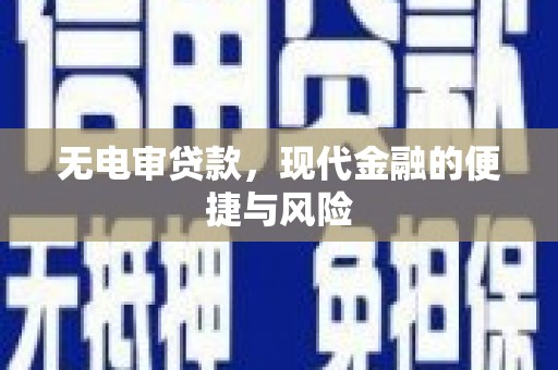 瑞穗无电审贷款，现代金融的便捷与风险