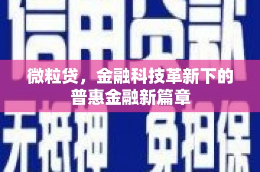 瑞穗微粒贷，金融科技革新下的普惠金融新篇章