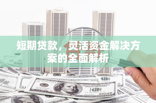瑞穗短期贷款，灵活资金解决方案的全面解析