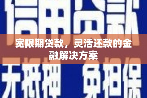 瑞穗宽限期贷款，灵活还款的金融解决方案