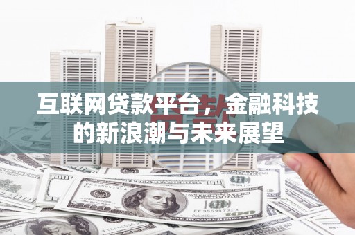瑞穗互联网贷款平台，金融科技的新浪潮与未来展望