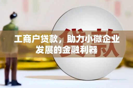 瑞穗工商户贷款，助力小微企业发展的金融利器