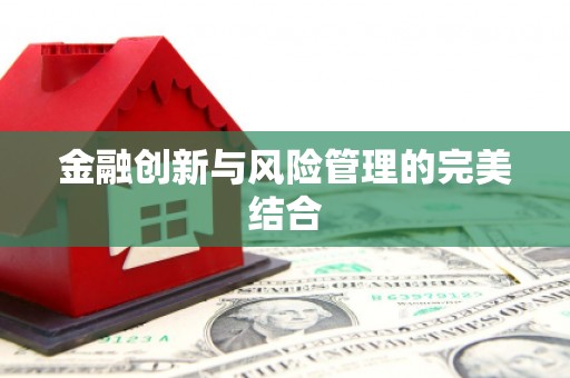 瑞穗金融创新与风险管理的完美结合