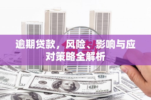 瑞穗逾期贷款，风险、影响与应对策略全解析
