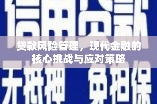 瑞穗贷款风险管理，现代金融的核心挑战与应对策略