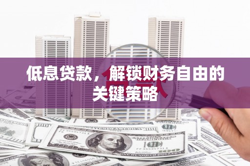 瑞穗低息贷款，解锁财务自由的关键策略