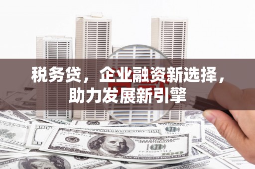 瑞穗税务贷，企业融资新选择，助力发展新引擎