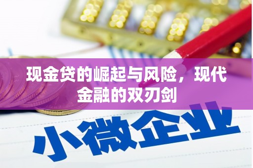 瑞穗现金贷的崛起与风险，现代金融的双刃剑