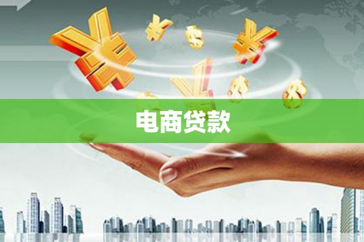瑞穗电商贷款