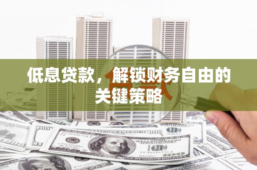 瑞穗低息贷款，解锁财务自由的关键策略