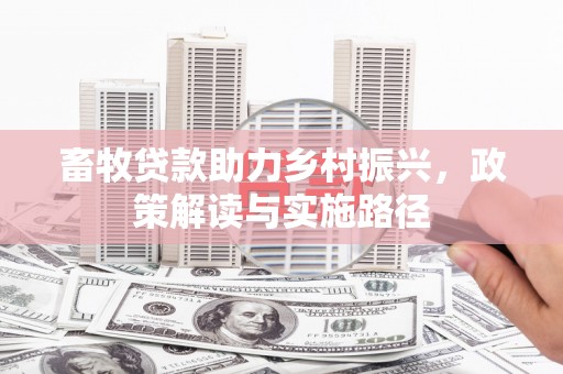 瑞穗畜牧贷款助力乡村振兴，政策解读与实施路径