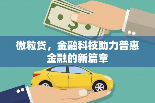 瑞穗微粒贷，金融科技助力普惠金融的新篇章