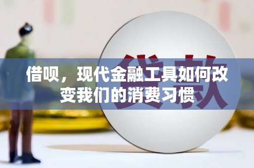 瑞穗借呗，现代金融工具如何改变我们的消费习惯