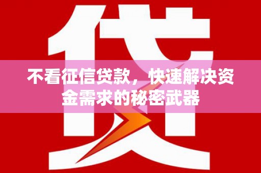 瑞穗不看征信贷款，快速解决资金需求的秘密武器
