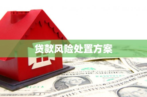 瑞穗贷款风险处置方案