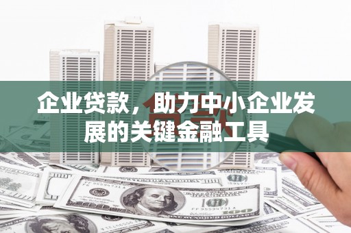 瑞穗企业贷款，助力中小企业发展的关键金融工具