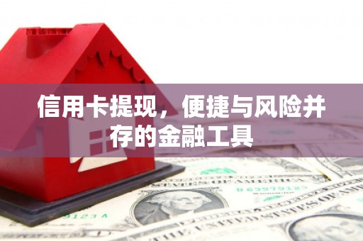 瑞穗信用卡提现，便捷与风险并存的金融工具