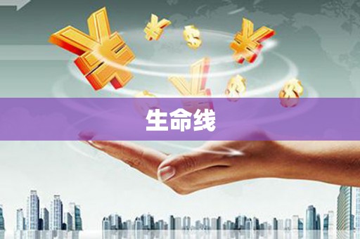 瑞穗生命线