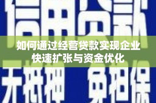 瑞穗如何通过经营贷款实现企业快速扩张与资金优化