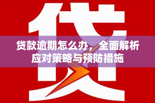瑞穗贷款逾期怎么办，全面解析应对策略与预防措施