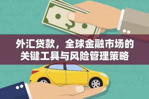 瑞穗外汇贷款，全球金融市场的关键工具与风险管理策略
