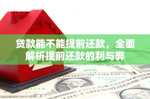 瑞穗贷款能不能提前还款，全面解析提前还款的利与弊