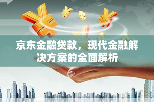 瑞穗京东金融贷款，现代金融解决方案的全面解析