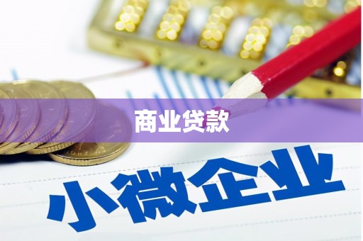 瑞穗商业贷款