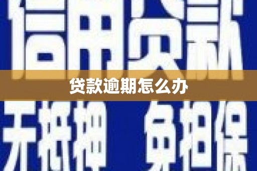 瑞穗贷款逾期怎么办