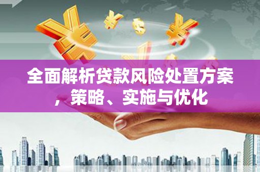 瑞穗全面解析贷款风险处置方案，策略、实施与优化
