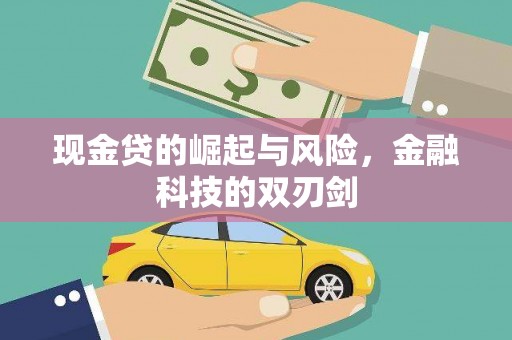 瑞穗现金贷的崛起与风险，金融科技的双刃剑